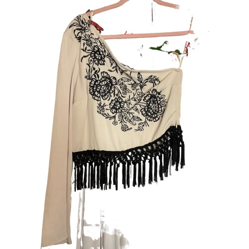 Zara Cream and Black Embroidered One-Shoulder Crop Top